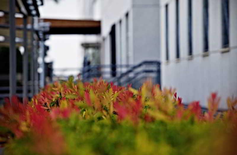 Apartamentos Vertice Sevilla Aljarafe Bormujos Exteriér fotografie
